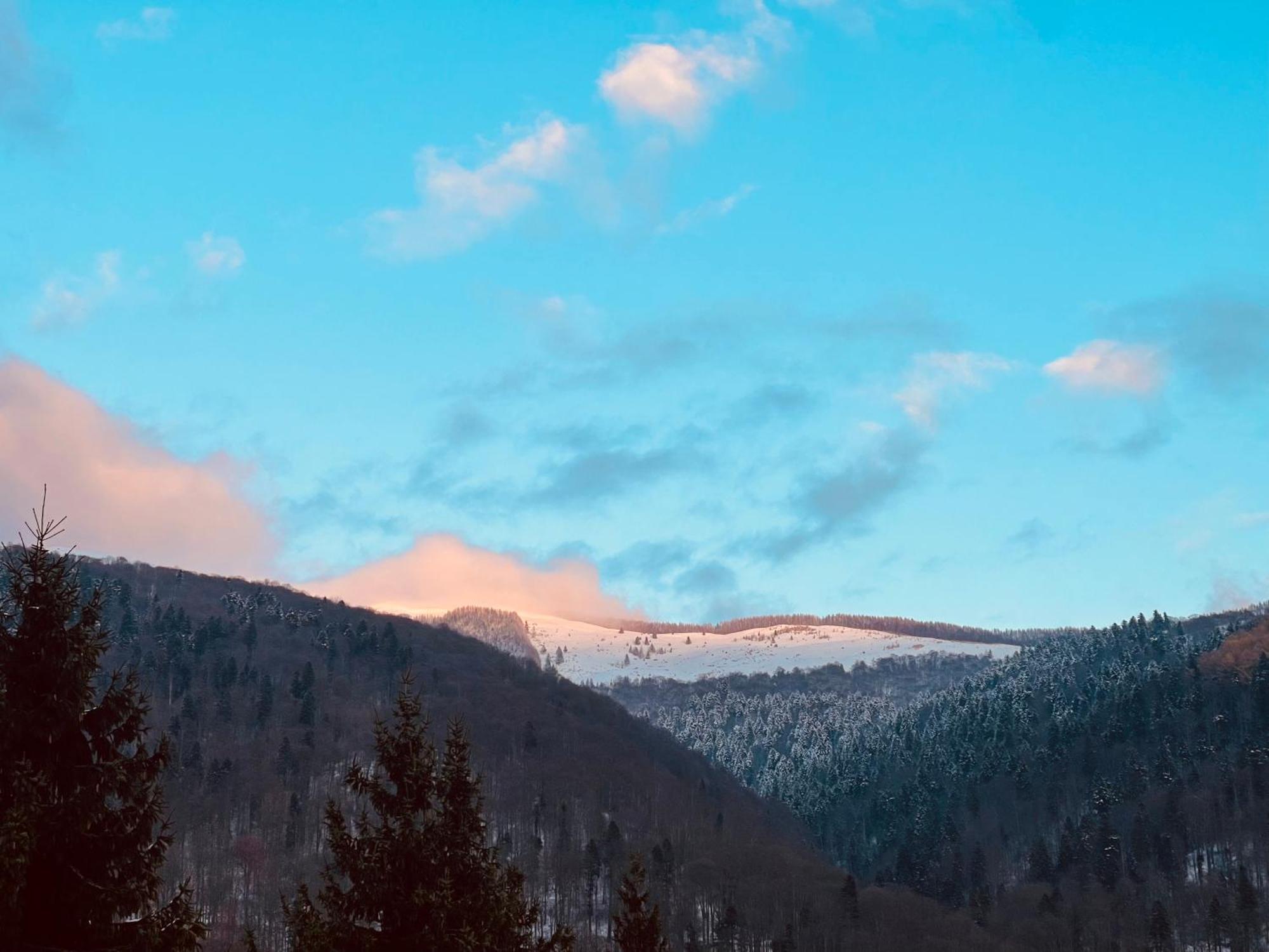 The Nest Apartment Sinaia Bagian luar foto